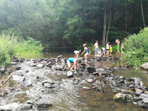 2.běh LT RYENGLE Horní Sokolovec- den pátý, středa 19.7.2017