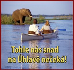 Dvorana: Tancování s kánoí