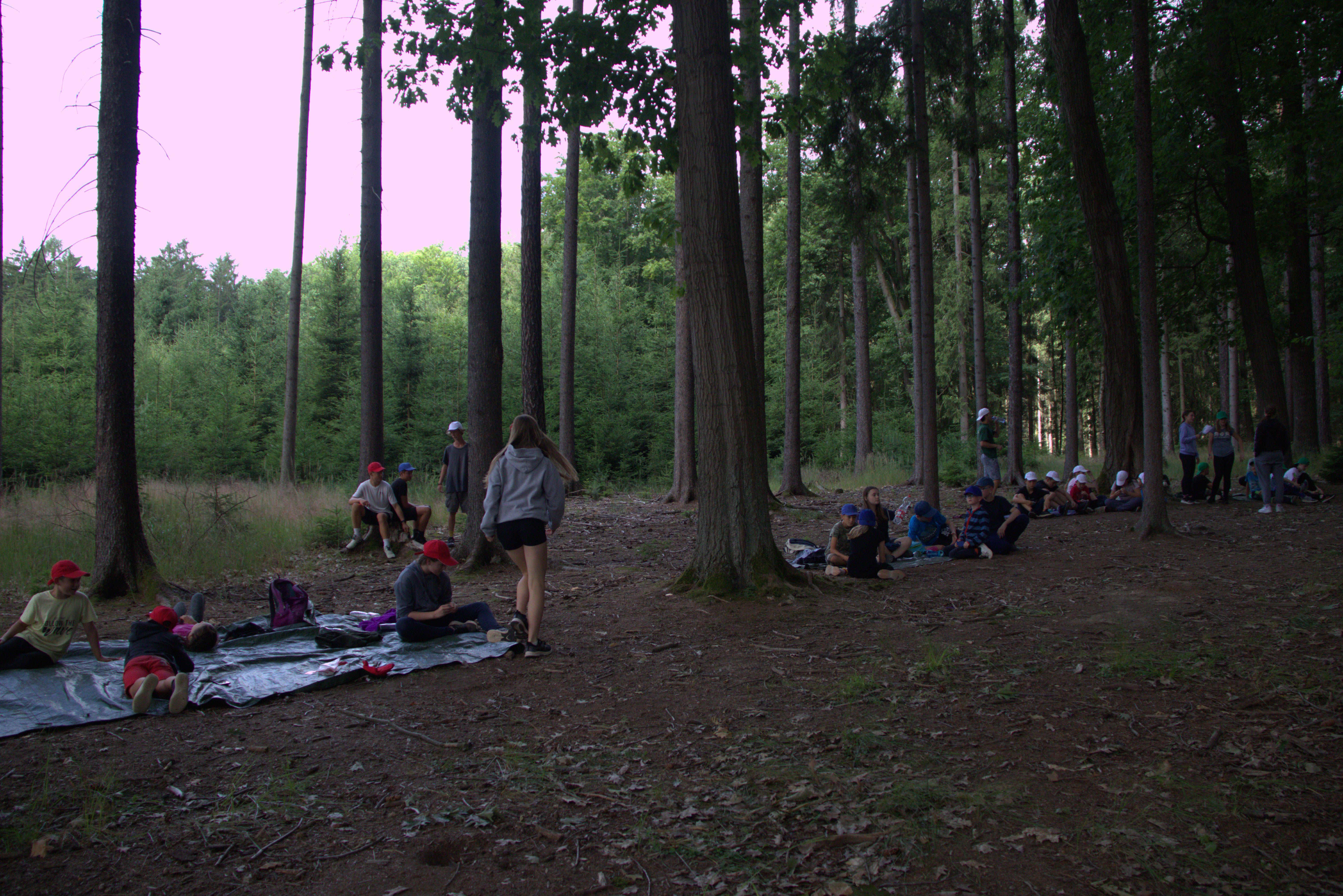 I.běh LT RYENGLE Paběnice pondělí 3.7.2023