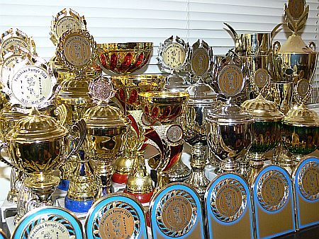 Poháry na festival Pardubická Ryengle 2008